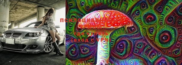 бошки Абаза