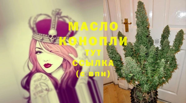 индика Абдулино
