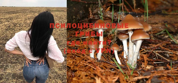 бошки Абаза