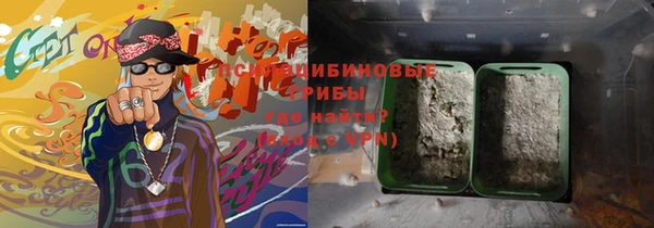 индика Абдулино