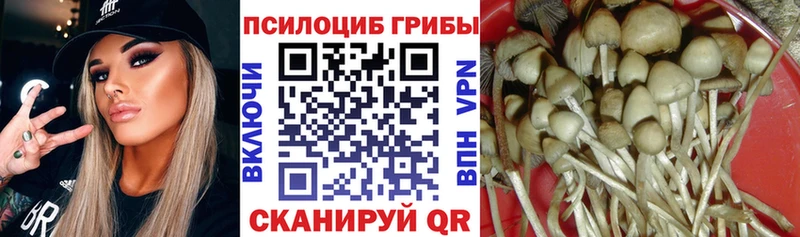 kraken маркетплейс  где купить наркоту  Карасук  Псилоцибиновые грибы ЛСД 