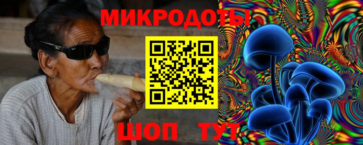 Псилоцибиновые грибы мицелий Карасук