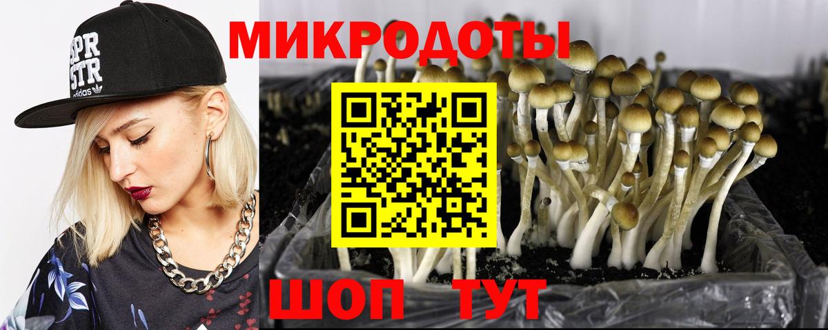 Псилоцибиновые грибы Magic Shrooms  Галлюциногенные грибы Cubensis  Карасук  Вход с VPN 